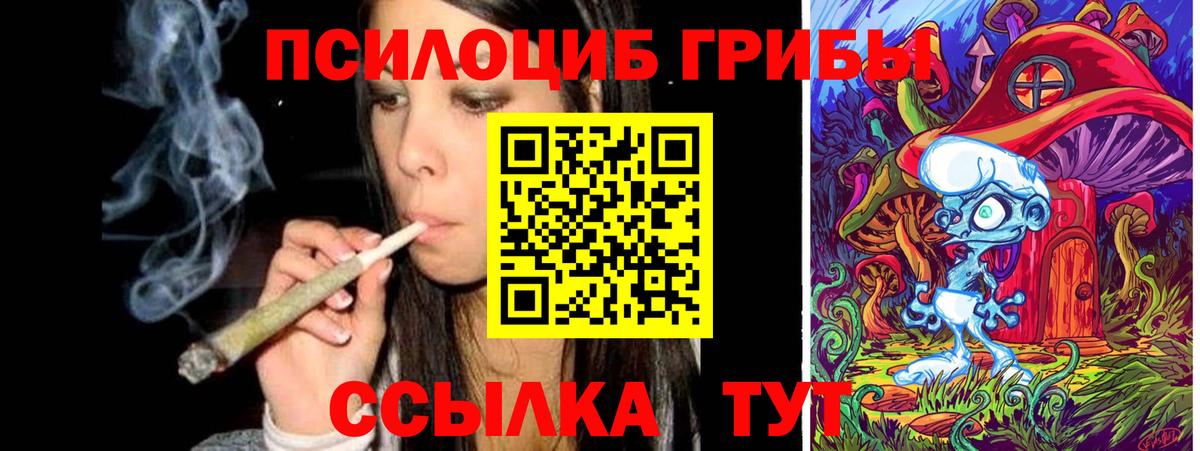 Гашиш Сланцы