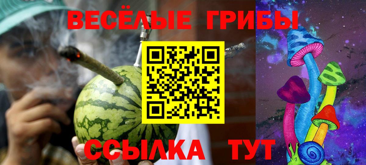 Сланцы  цена   Псилоцибиновые грибы Psilocybine cubensis  Вход с VPN  Псилоцибиновые грибы Cubensis 
